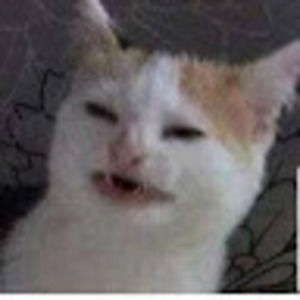 Meet your Posher, Zane